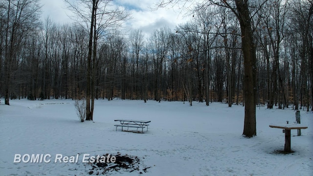 snowy yard with a garage and a wooded view