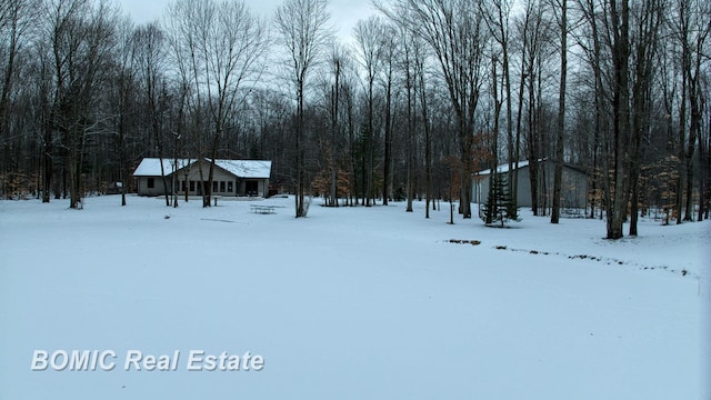 view of snowy yard