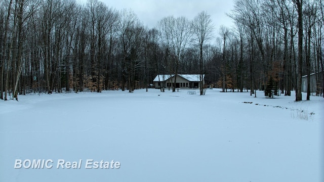 view of yard layered in snow
