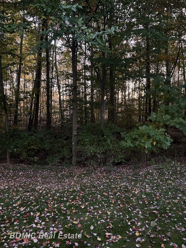 view of nature