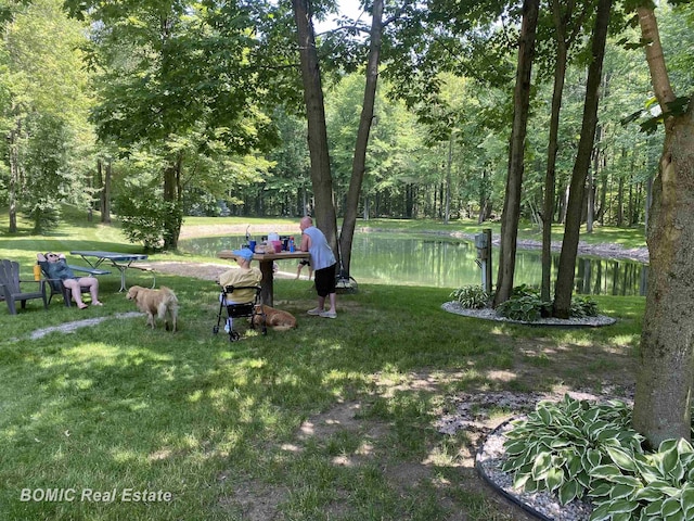 view of yard with a water view