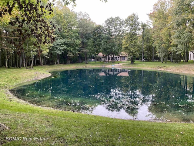 view of water feature
