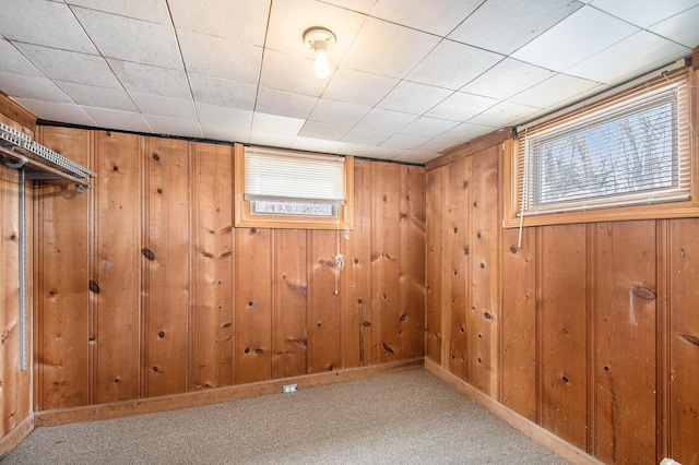 basement featuring wooden walls and light colored carpet