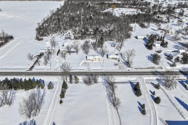 view of snowy aerial view