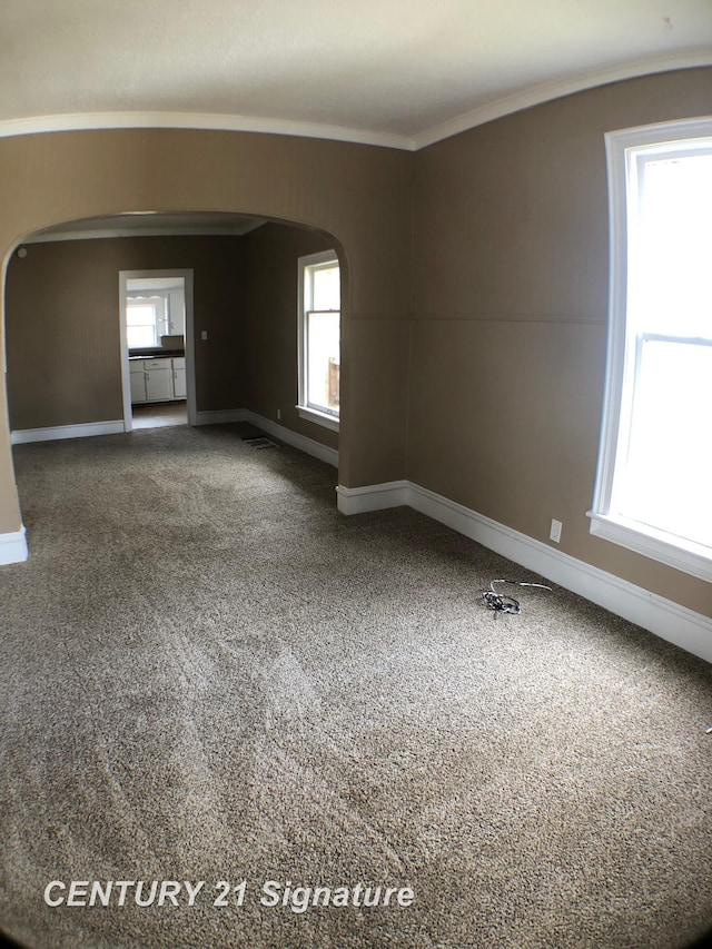 carpeted spare room featuring crown molding