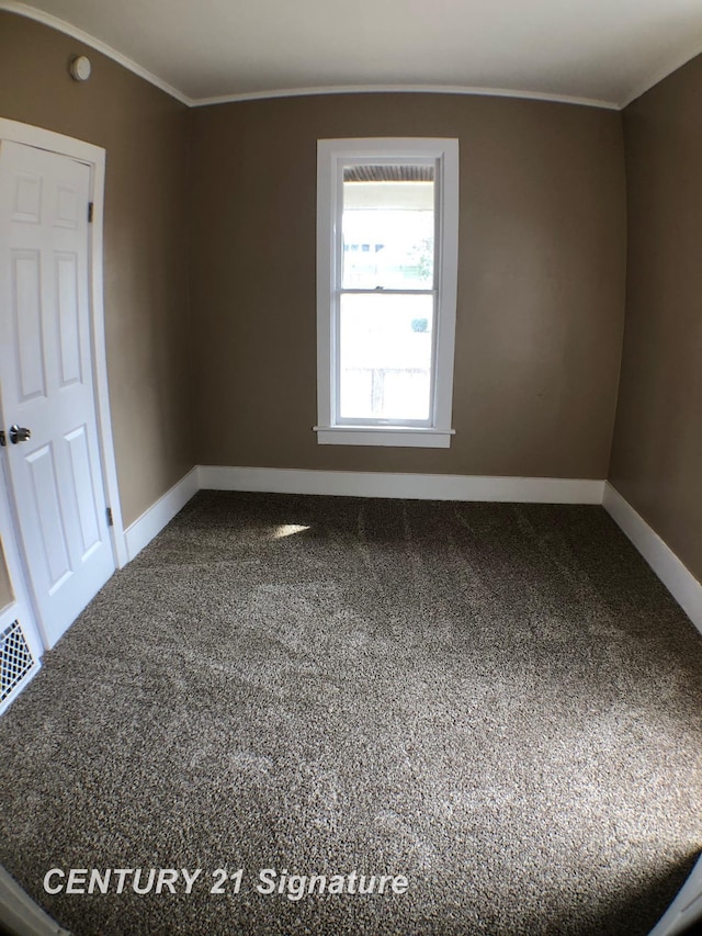 unfurnished room featuring carpet floors and ornamental molding