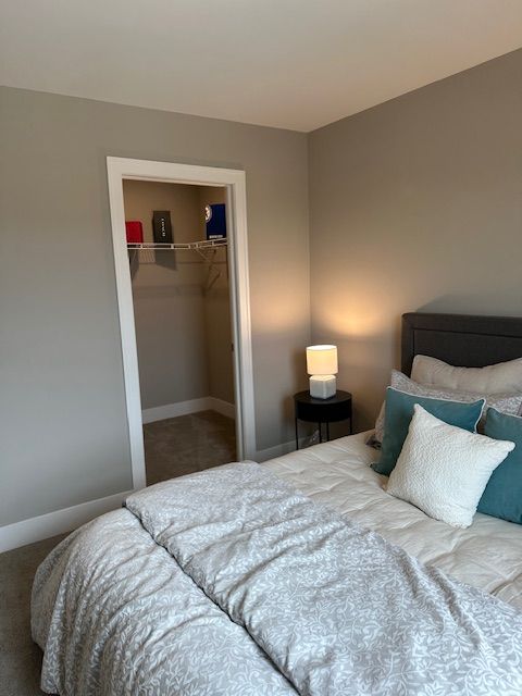 carpeted bedroom featuring a closet, a walk in closet, and baseboards