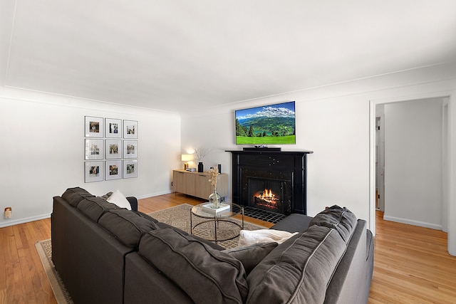 living room with light wood-type flooring