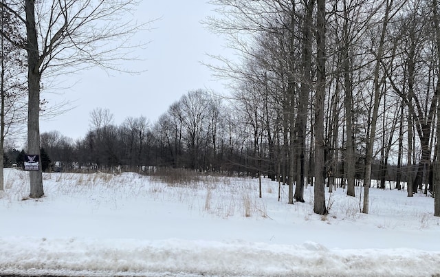 view of yard covered in snow