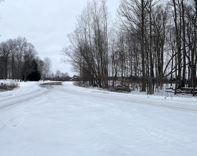 view of snowy yard