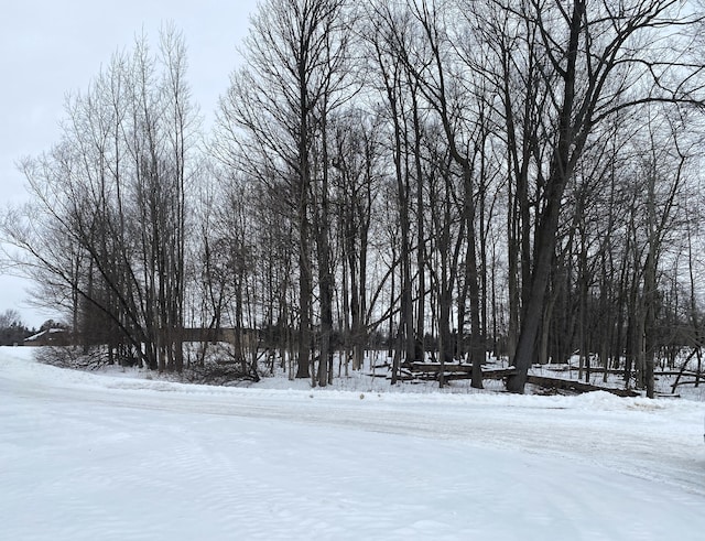 view of yard covered in snow