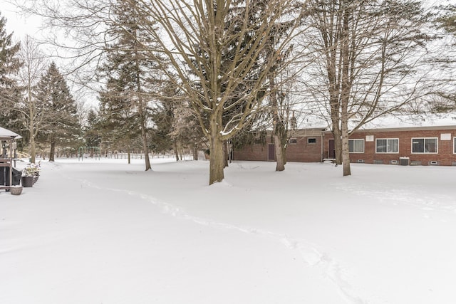 view of yard covered in snow