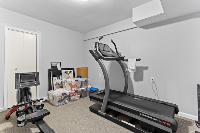 workout room featuring carpet flooring