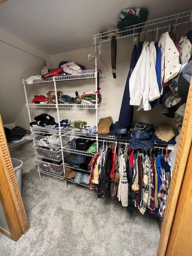 spacious closet with carpet flooring