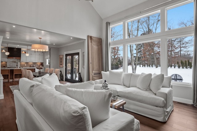 living area featuring a wealth of natural light, crown molding, high vaulted ceiling, and wood finished floors