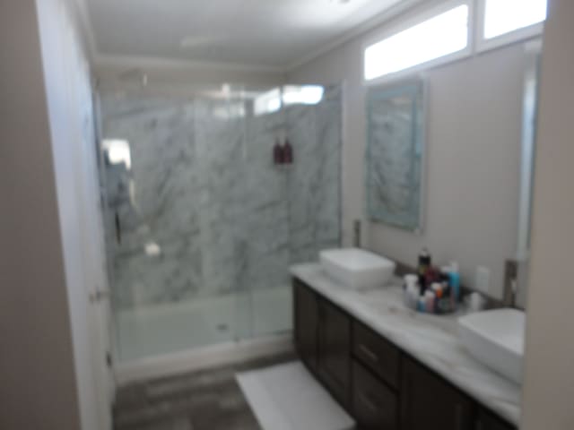 bathroom featuring vanity and a shower with shower door