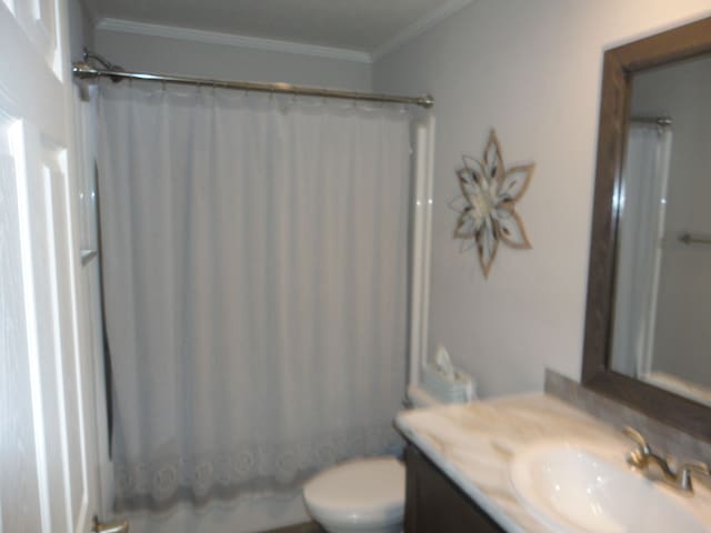 bathroom with toilet, vanity, crown molding, and a shower with curtain