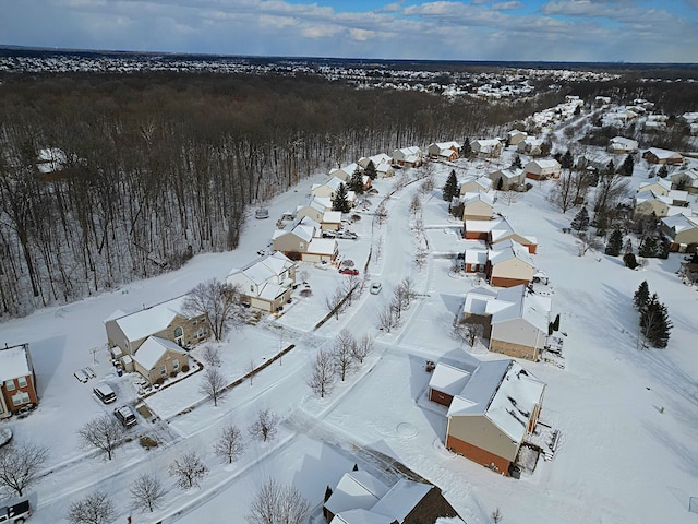 view of snowy aerial view