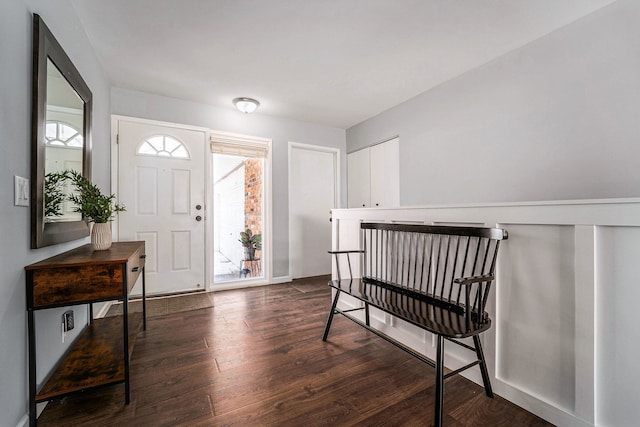 entryway featuring dark wood-type flooring and a healthy amount of sunlight