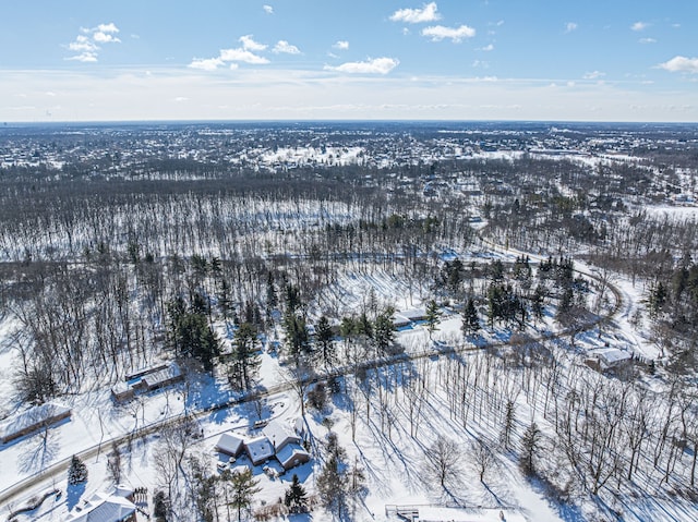 view of snowy aerial view