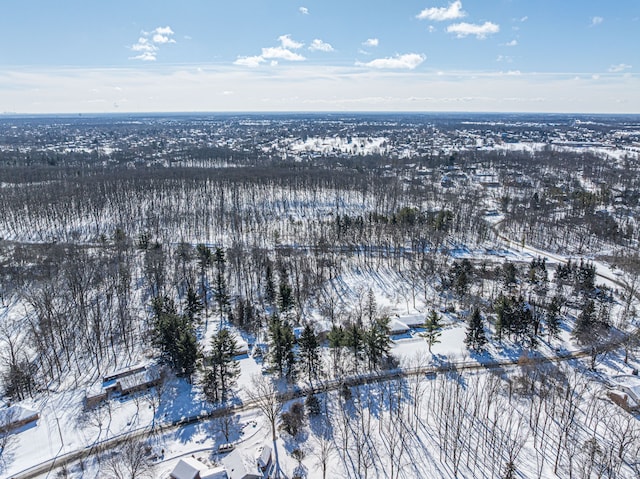 view of snowy aerial view