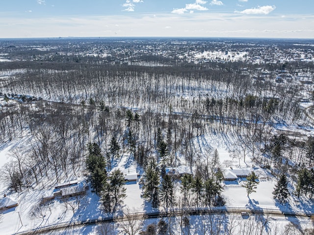 view of snowy aerial view