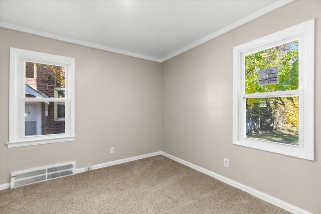 spare room with ornamental molding and carpet flooring