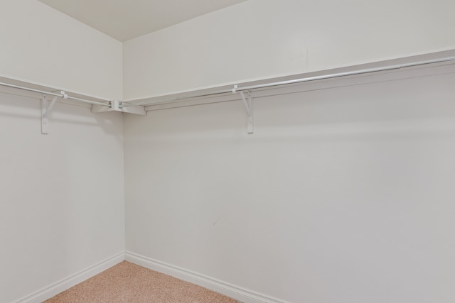 walk in closet featuring carpet floors