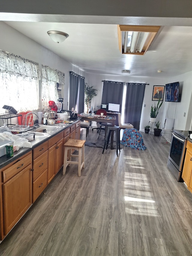 kitchen featuring dark hardwood / wood-style flooring, sink, and stainless steel electric range oven