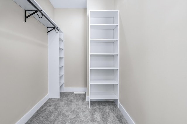 walk in closet with light colored carpet