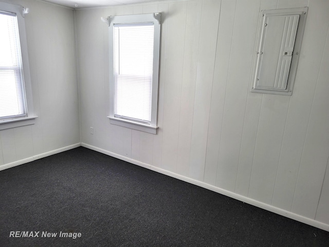 spare room with plenty of natural light, electric panel, and carpet floors