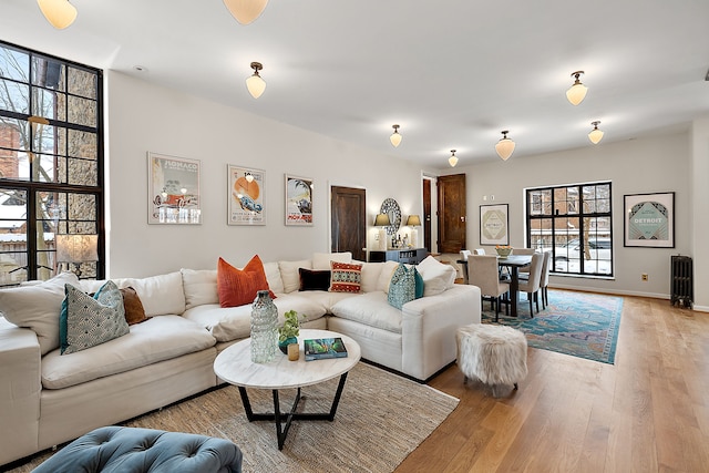 living room with baseboards and light wood finished floors