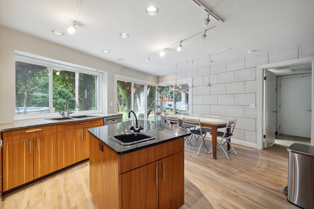 kitchen featuring light wood-type flooring, sink, and a kitchen island with sink