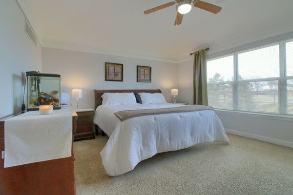9077 Chambord Dr, Ypsilanti, MI 48197 - bedroom with light carpet, a ceiling fan, baseboards, and ornamental molding