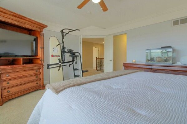 bedroom featuring crown molding, light colored carpet, visible vents, and ceiling fan