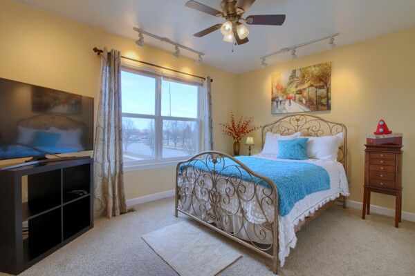 bedroom featuring rail lighting, carpet flooring, ceiling fan, and baseboards