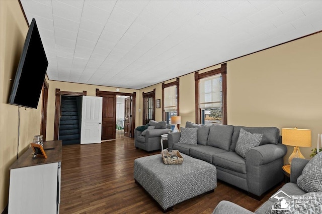 living room featuring dark wood-type flooring