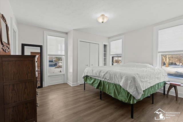 bedroom featuring multiple windows, hardwood / wood-style flooring, and a closet