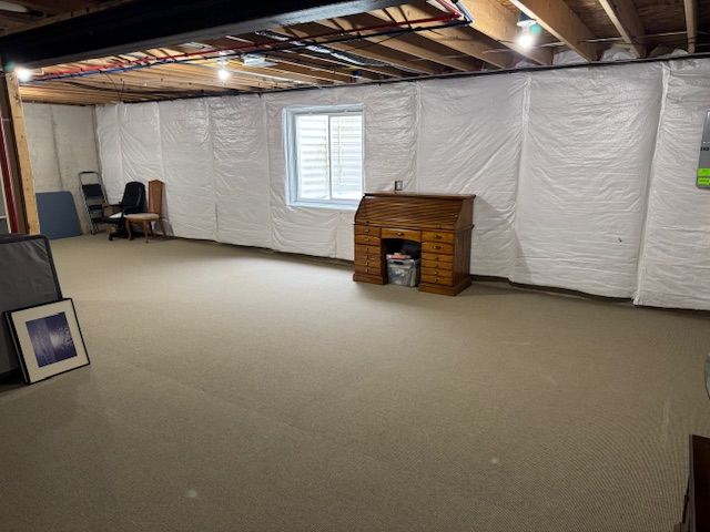 basement with carpet floors