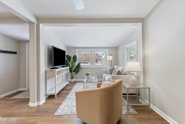 living room featuring wood-type flooring