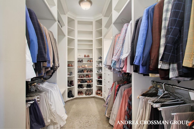 spacious closet featuring carpet