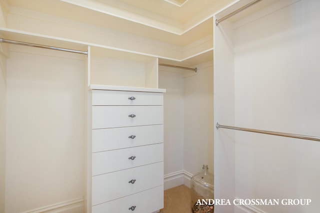 view of spacious closet