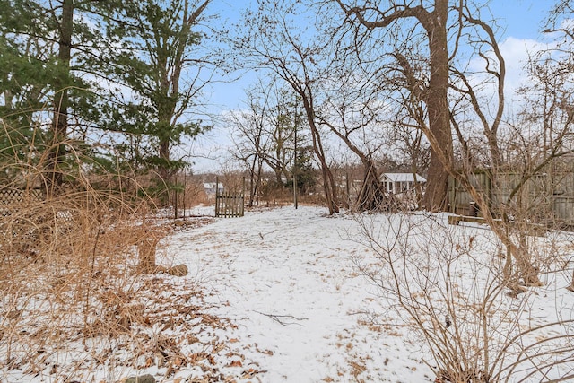 view of yard layered in snow