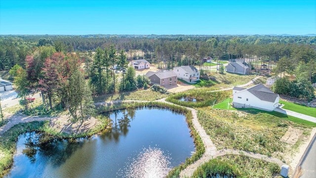 6233 Sturgeon Run, Muskegon, MI 49444 - bird's eye view of a heavily wooded area and a large body of water