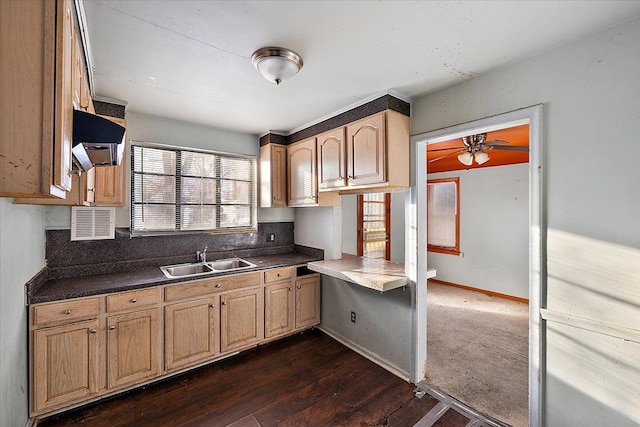 kitchen featuring dark hardwood / wood-style flooring, ceiling fan, sink, and light brown cabinets