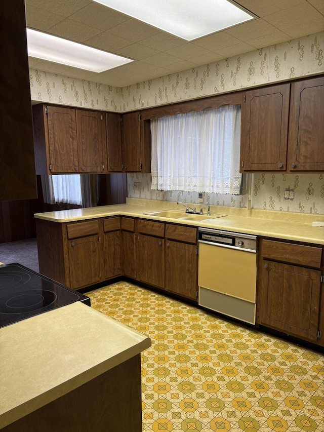 kitchen featuring dishwashing machine, dark brown cabinetry, sink, and stove