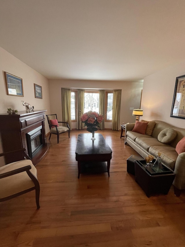 living room with wood-type flooring