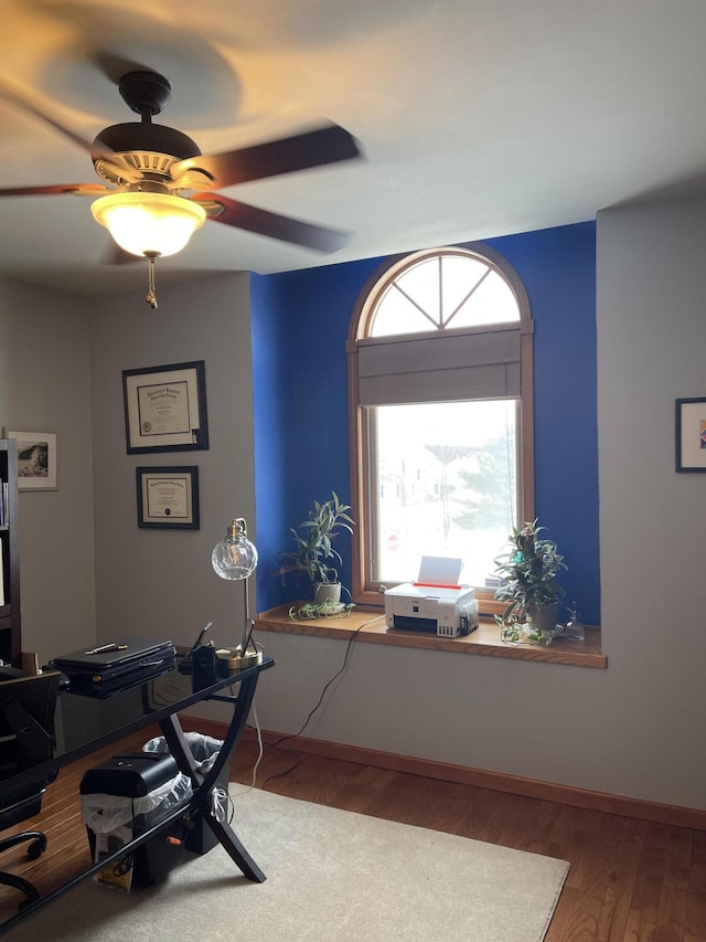 office space featuring hardwood / wood-style flooring and ceiling fan