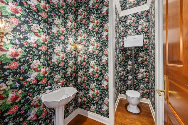 bathroom with wood-type flooring and toilet