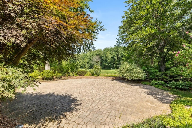 7507 Red Osier Dr SW, Byron Center, MI 49315 - photo 9